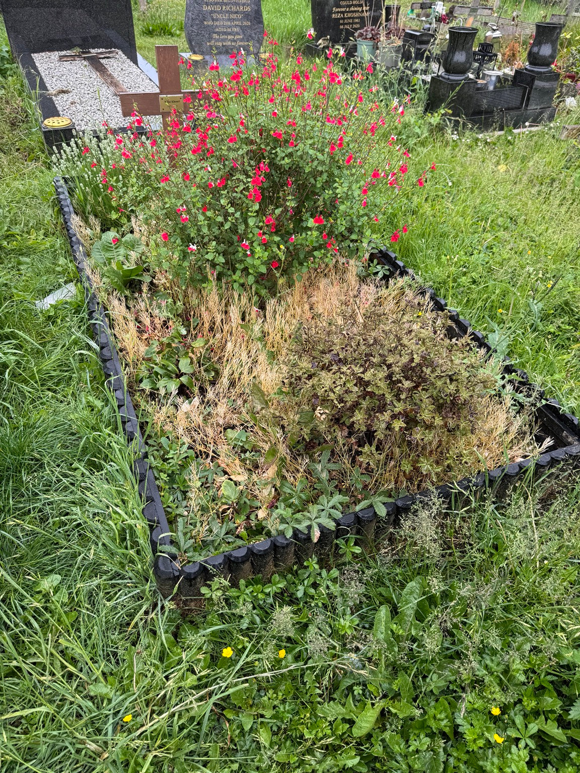Overgrown grave before a Never Forgotten one-off grave care visit