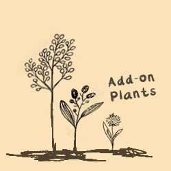 Add plants