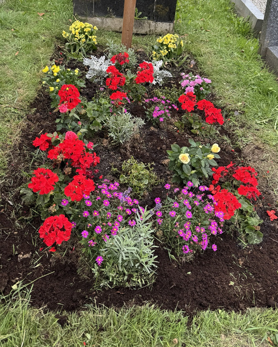 A cared-for grave with seasonal plants following a Never Forgotten visit