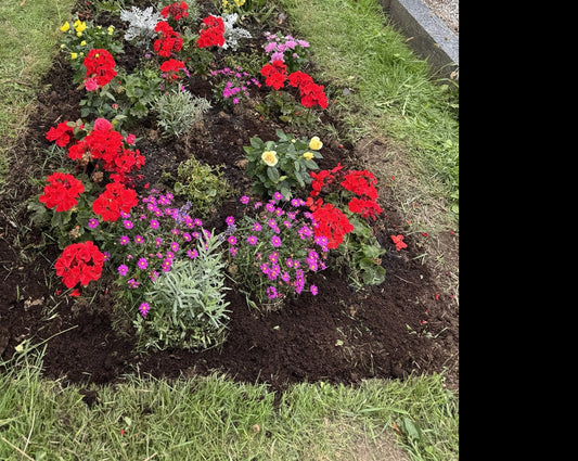 Seasonal grave planting by Never Forgotten, cropped to protect memorial details